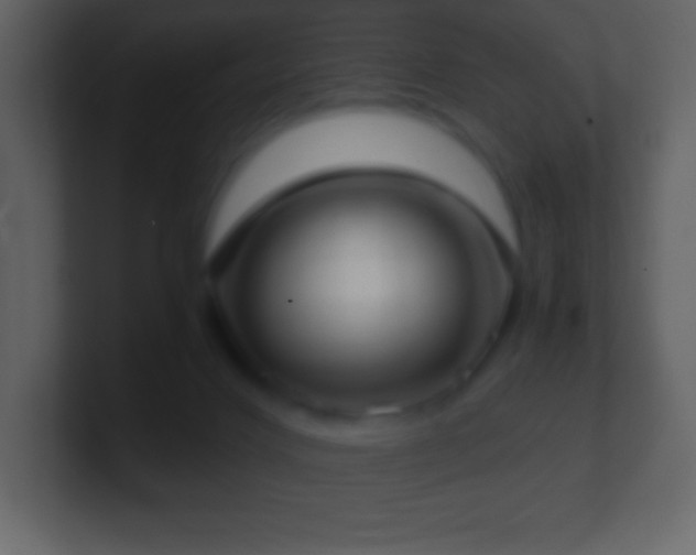 X0000101430028200807071351