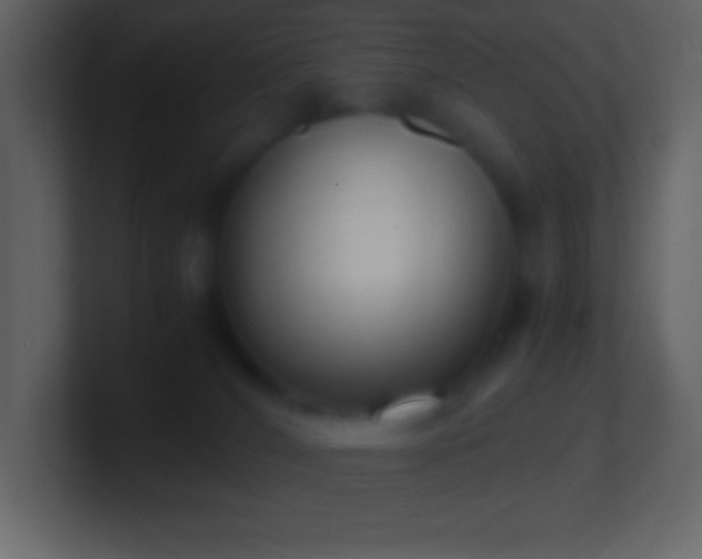 X0000101430036200807071351
