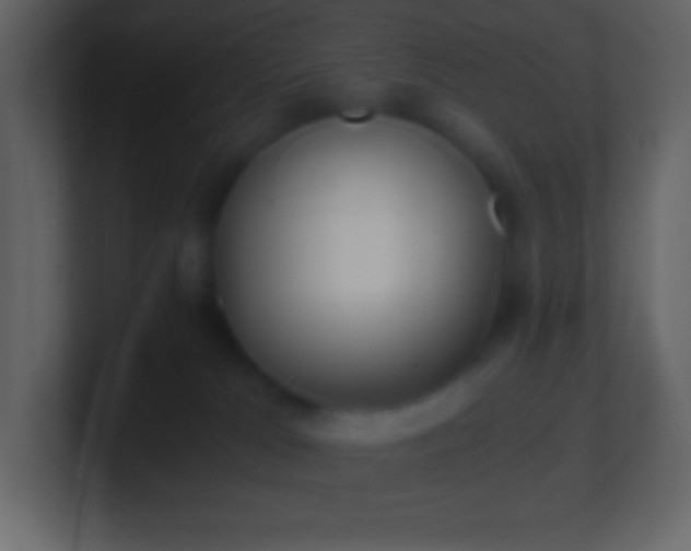 X0000101430037200807071351