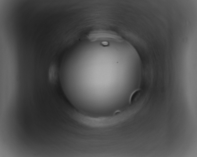 X0000101430038200807071351