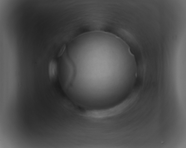 X0000101430041200807071351