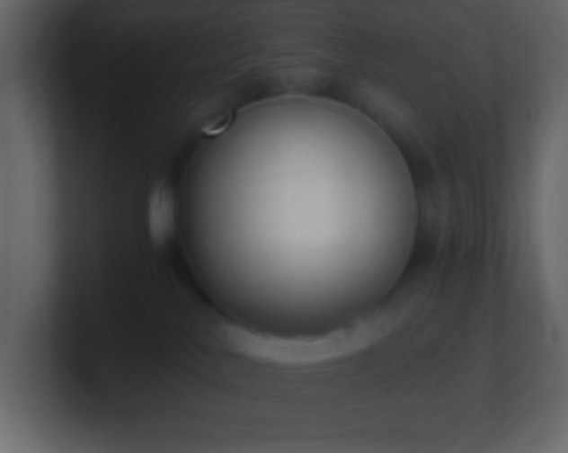X0000101430042200807071351