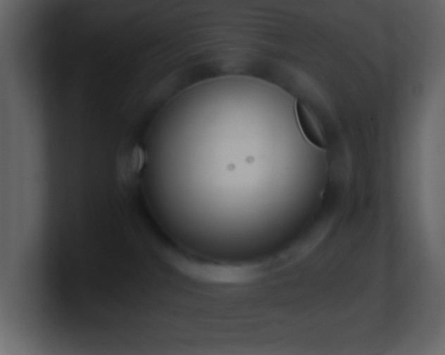 X0000101430044200807071351