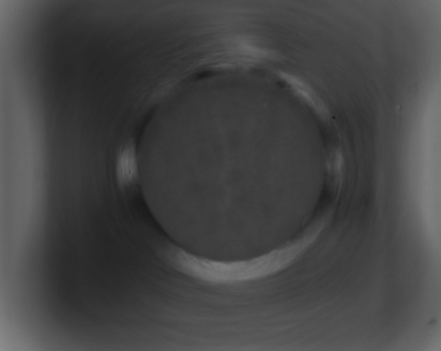 X0000101430046200807071351