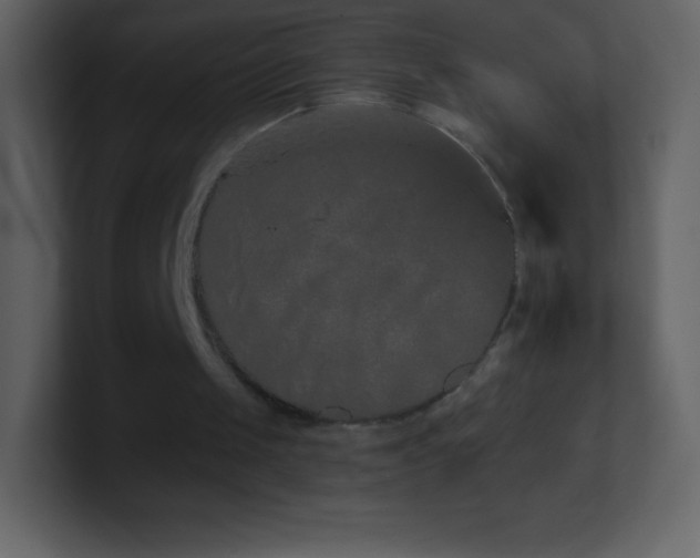 X0000101430049200807071350