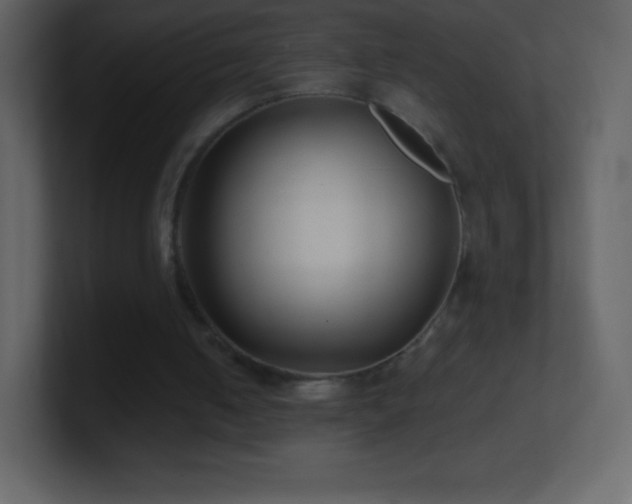 X0000101430050200807071350