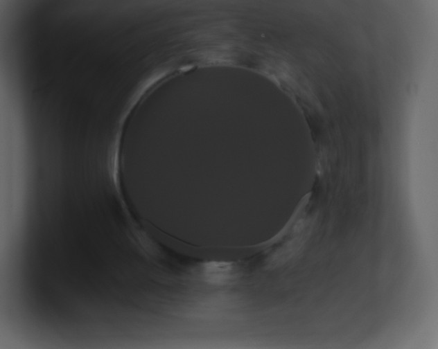 X0000101430052200807071350