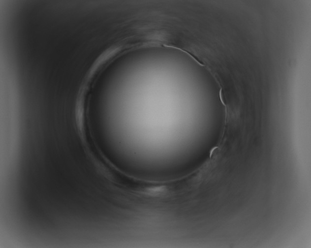 X0000101430054200807071350