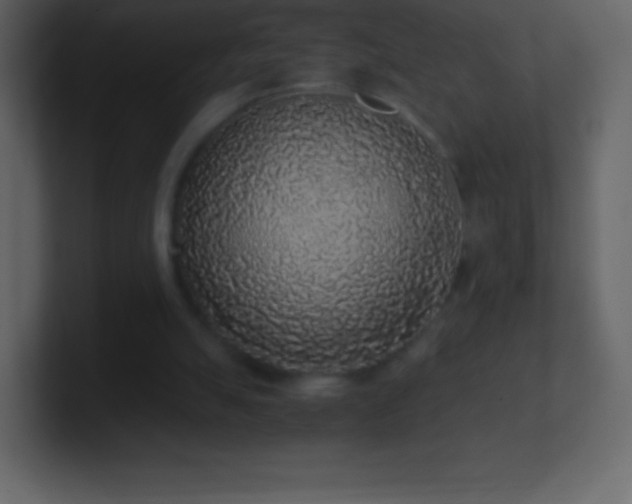 X0000101430055200807071350