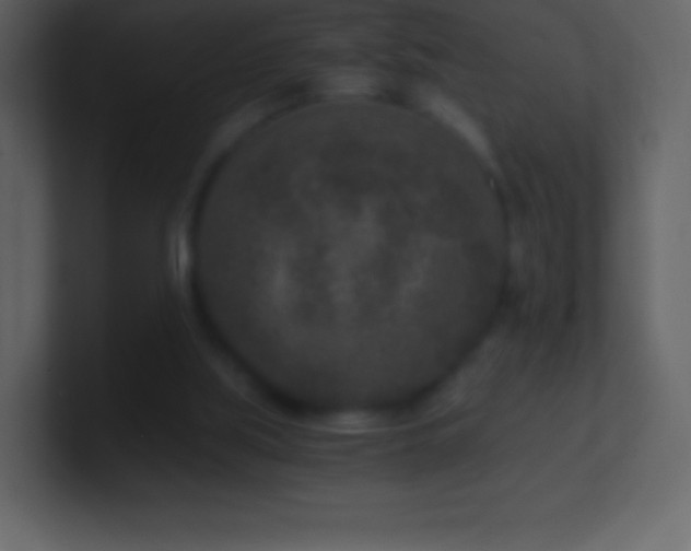 X0000101430059200807071350