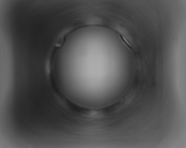 X0000101430060200807071350