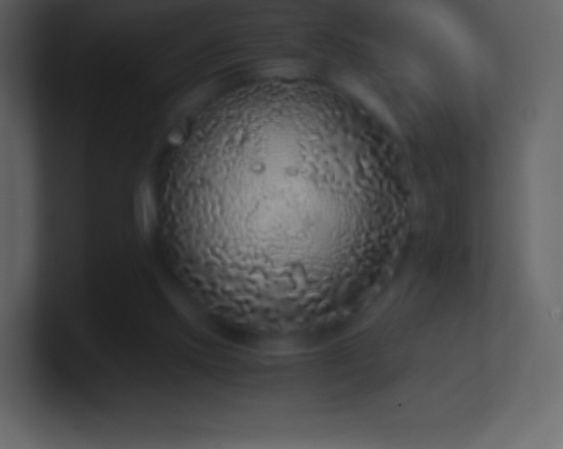 X0000101430061200807071350