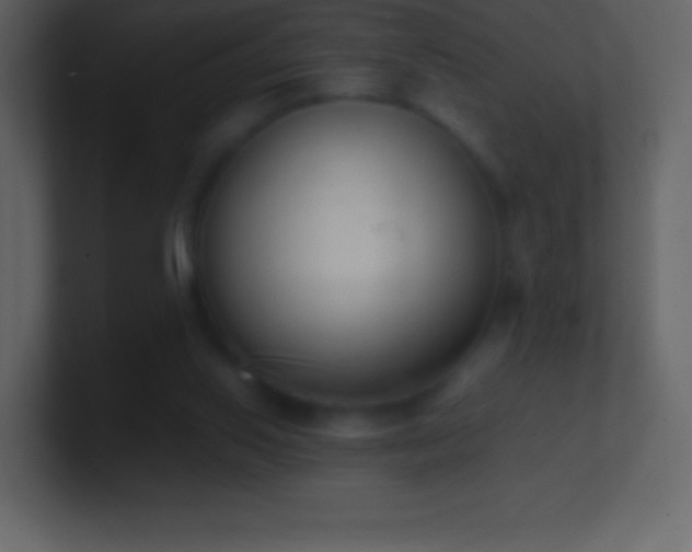 X0000101430062200807071350