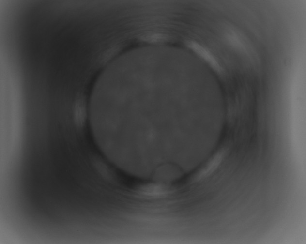 X0000101430065200807071350
