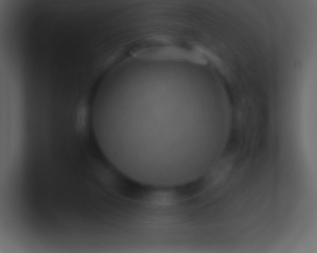 X0000101430066200807071350