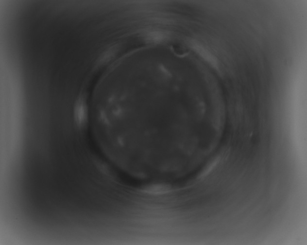 X0000101430067200807071350