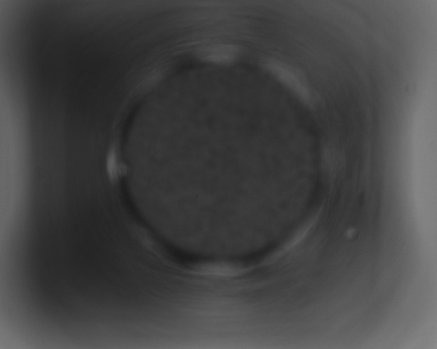 X0000101430069200807071350