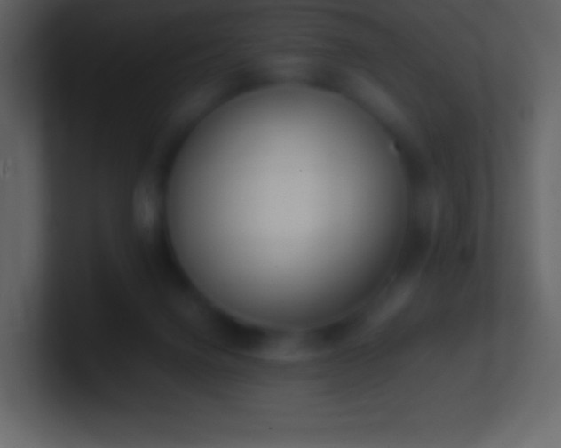 X0000101430072200807071350