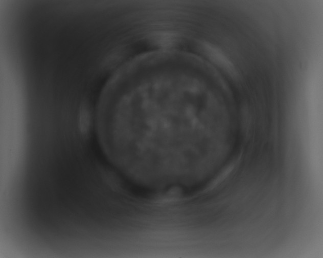 X0000101430073200807071350