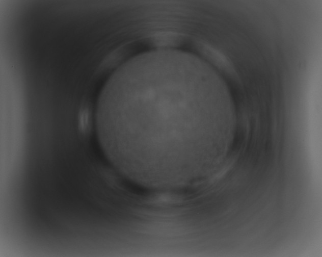 X0000101430074200807071350