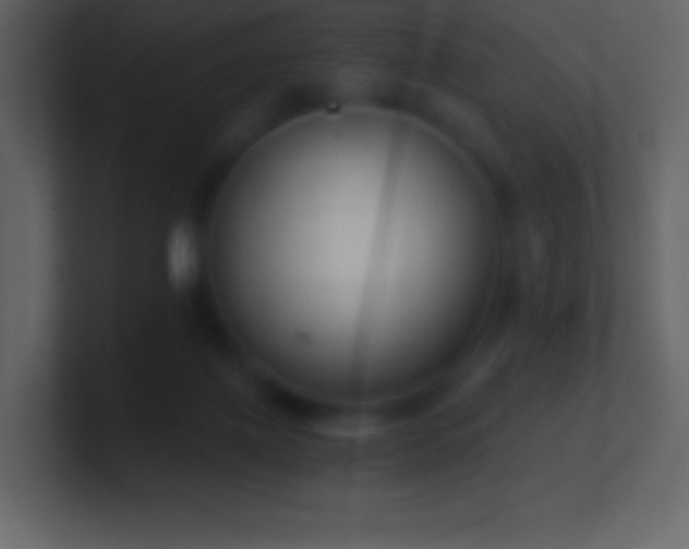 X0000101430075200807071350