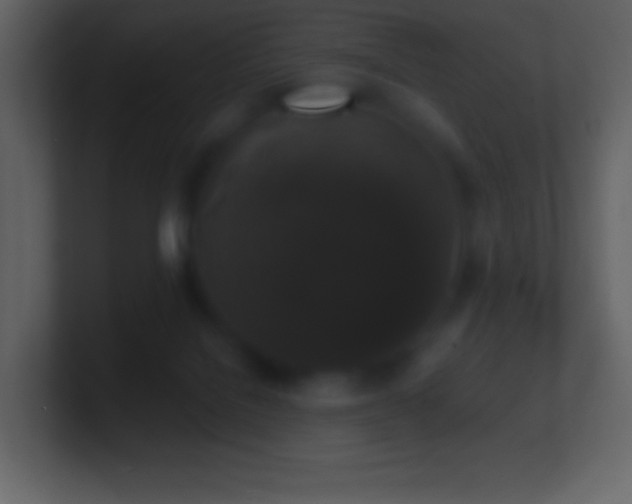 X0000101430076200807071350