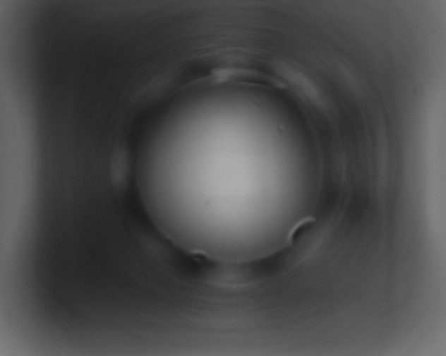X0000101430077200807071350