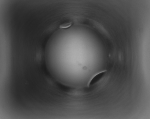 X0000101430078200807071350