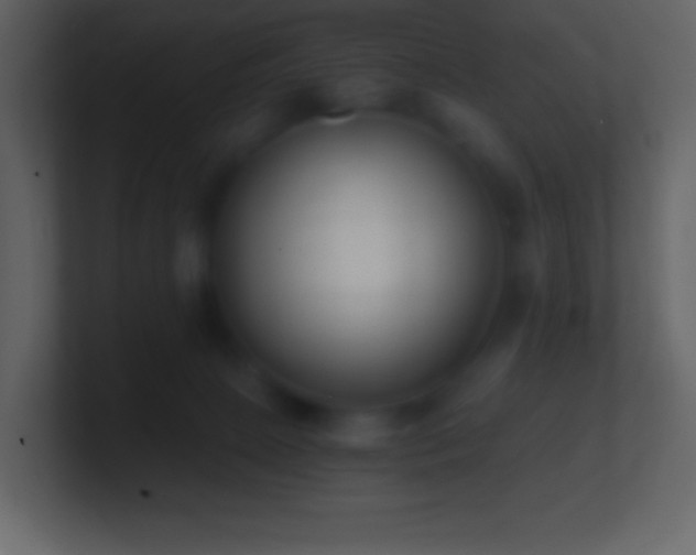 X0000101430081200807071351