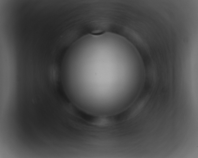 X0000101430083200807071351