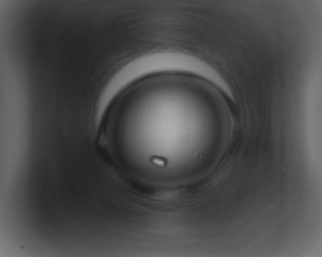 X0000101430084200807071351