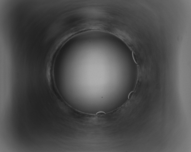 X0000101430098200807071350