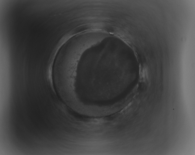 X0000101430099200807071350