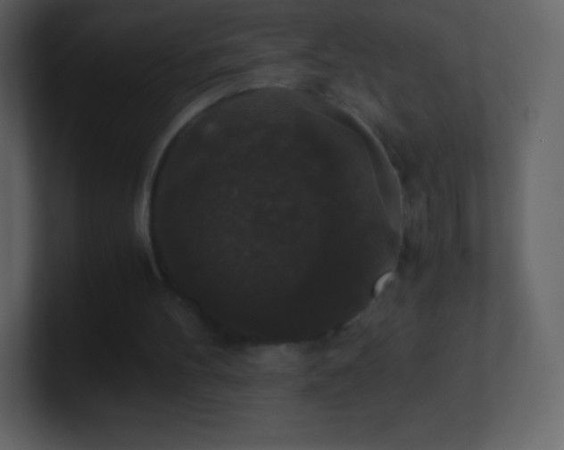 X0000101430100200807071350