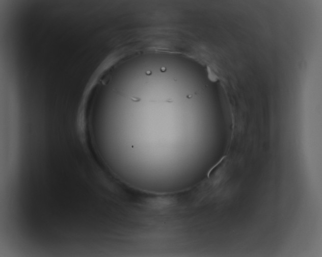 X0000101430102200807071350