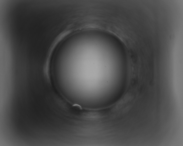 X0000101430104200807071350