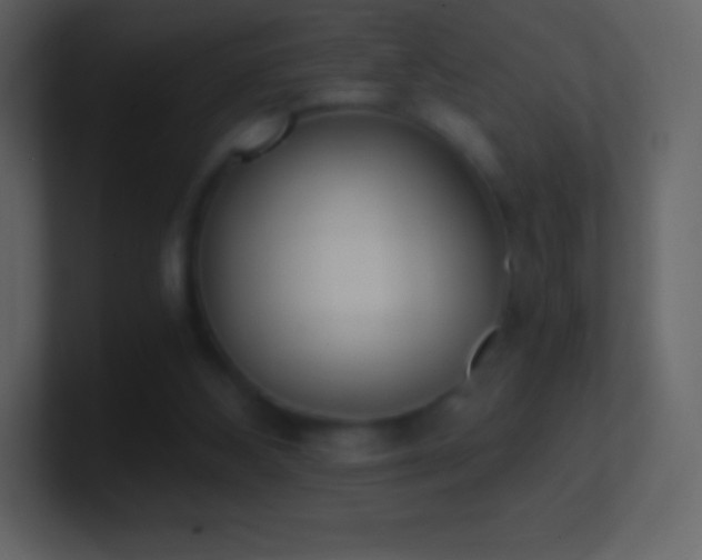 X0000101430108200807071350