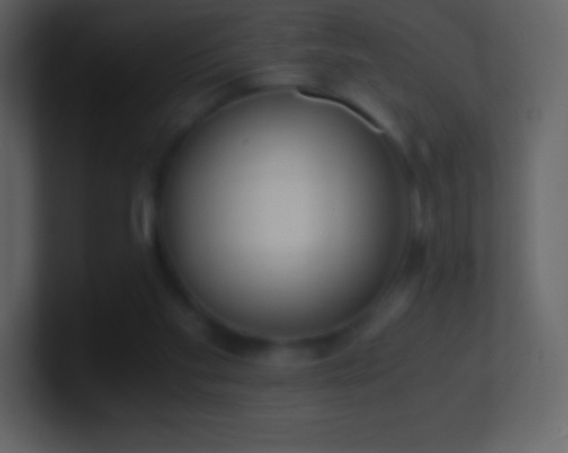 X0000101430109200807071350