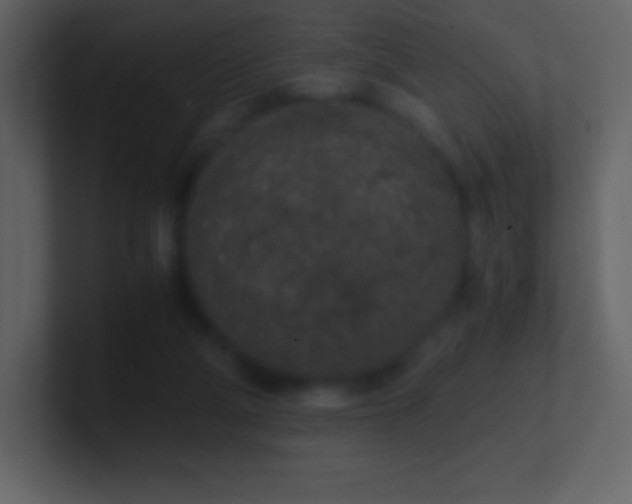 X0000101430114200807071350