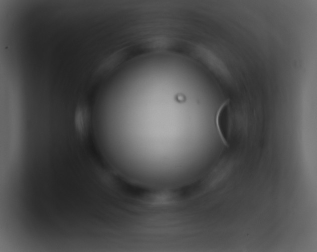 X0000101430118200807071350
