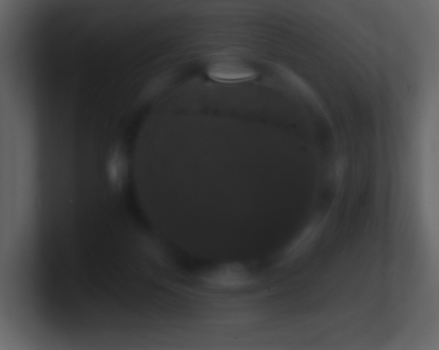 X0000101430124200807071350