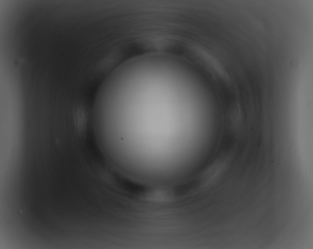 X0000101430126200807071350