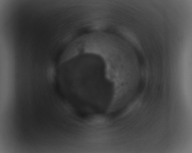 X0000101430127200807071350