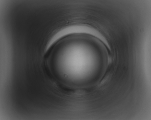 X0000101430128200807071349