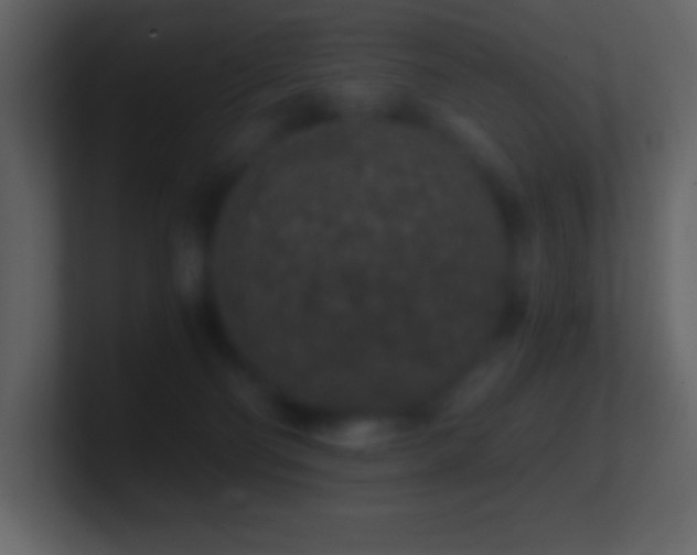 X0000101430130200807071349
