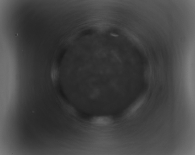 X0000101430137200807071349
