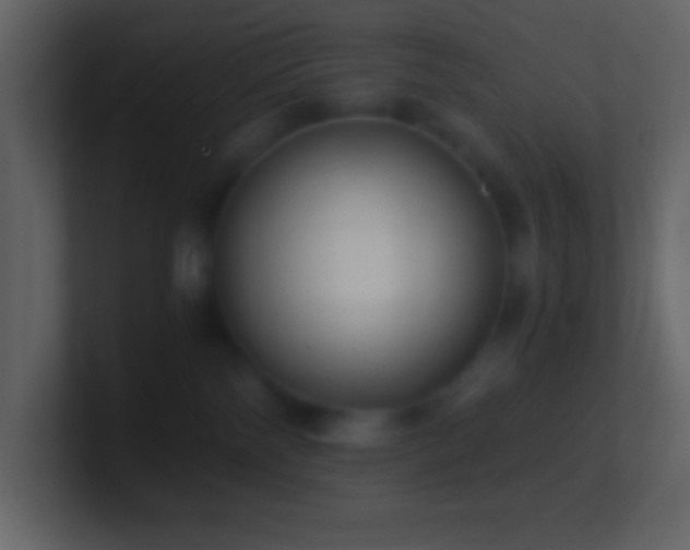 X0000101430138200807071349