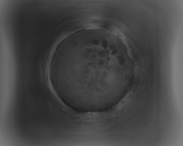 X0000101430145200807071349