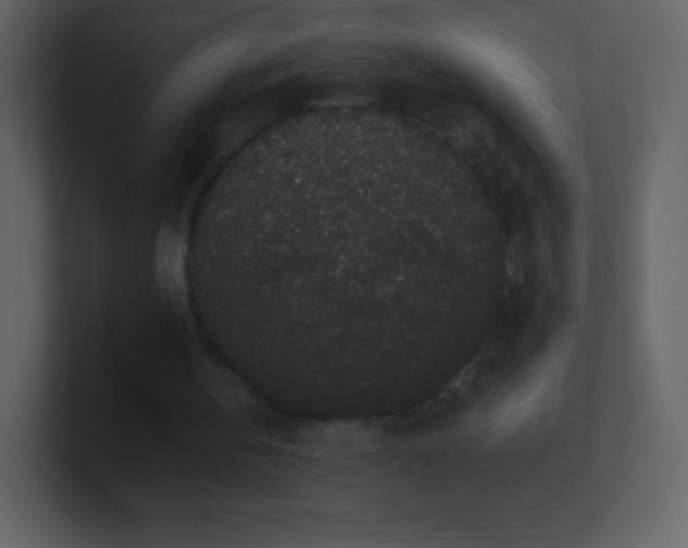 X0000101430146200807071349