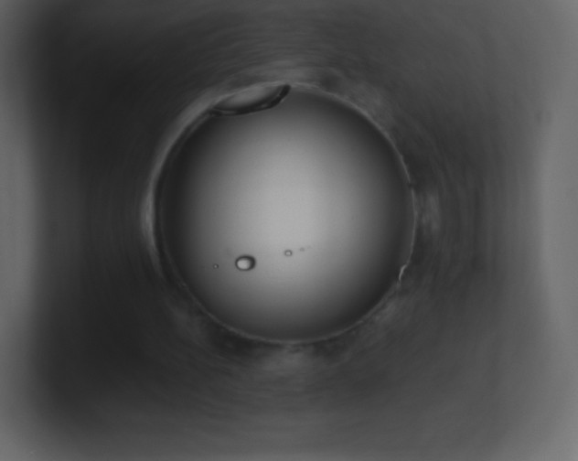 X0000101430148200807071349